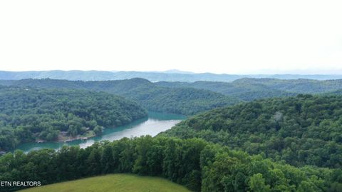Tiny photo for 1514 Chestnut Stump Rd, LaFollette, TN 37766 (MLS # 1330475)
