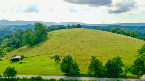 Tiny photo for 1514 Chestnut Stump Rd, LaFollette, TN 37766 (MLS # 1330475)