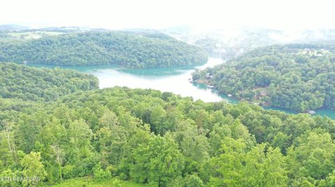 Tiny photo for 1514 Chestnut Stump Rd, LaFollette, TN 37766 (MLS # 1330475)