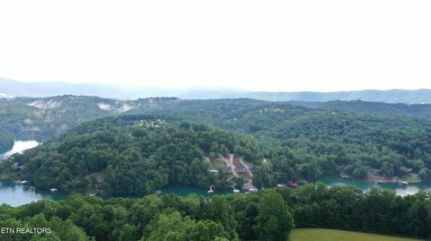 Tiny photo for 1514 Chestnut Stump Rd, LaFollette, TN 37766 (MLS # 1330475)