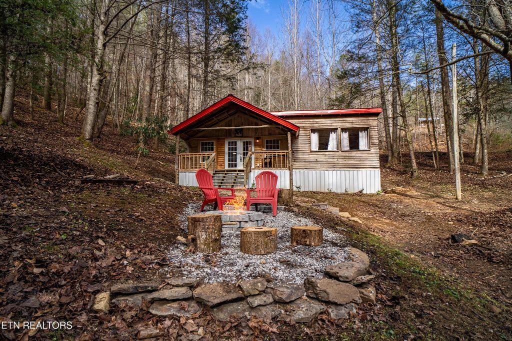 Photo of 915 Newcombe Branch Way, Cosby, TN 37722 (MLS # 1335230)