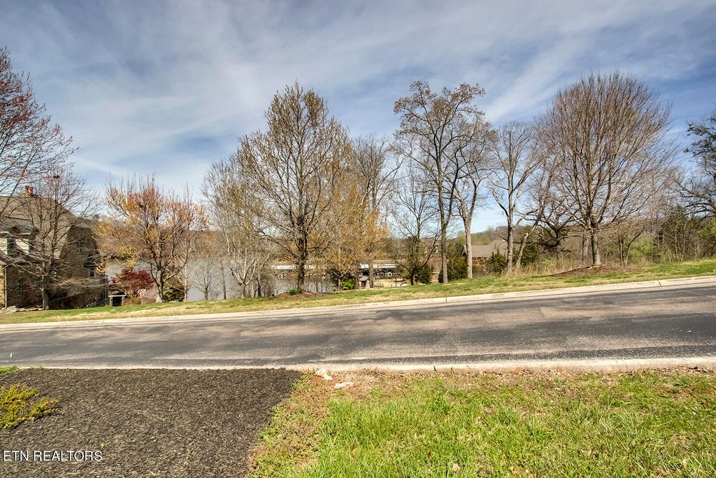 Photo of 191 White Swan Drive, Vonore, TN 37885 (MLS # 1257880)