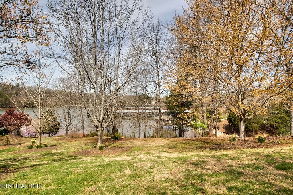 Photo of 191 White Swan Drive, Vonore, TN 37885 (MLS # 1257880)