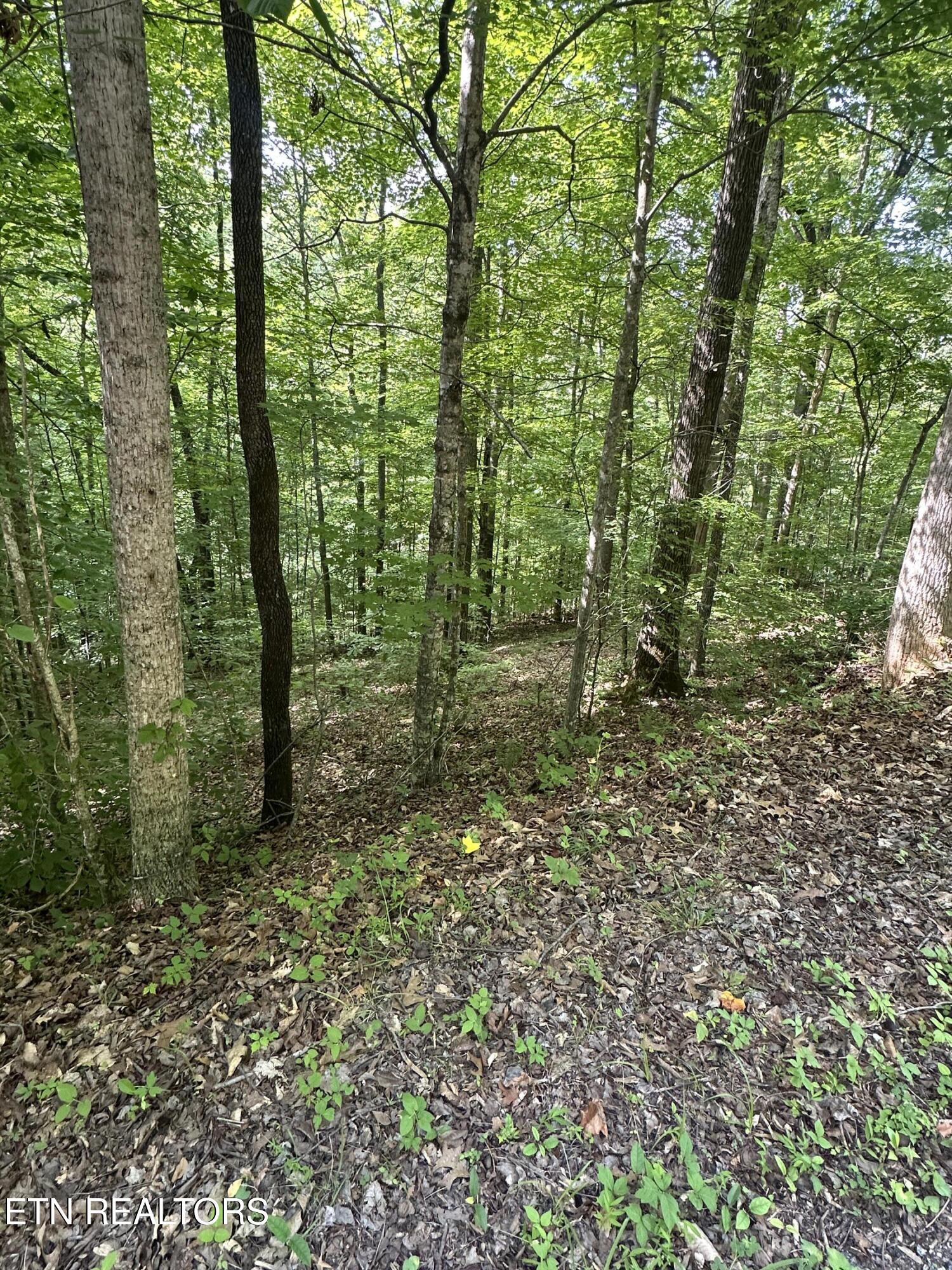 Hiwassee View - Lot 56 Drive