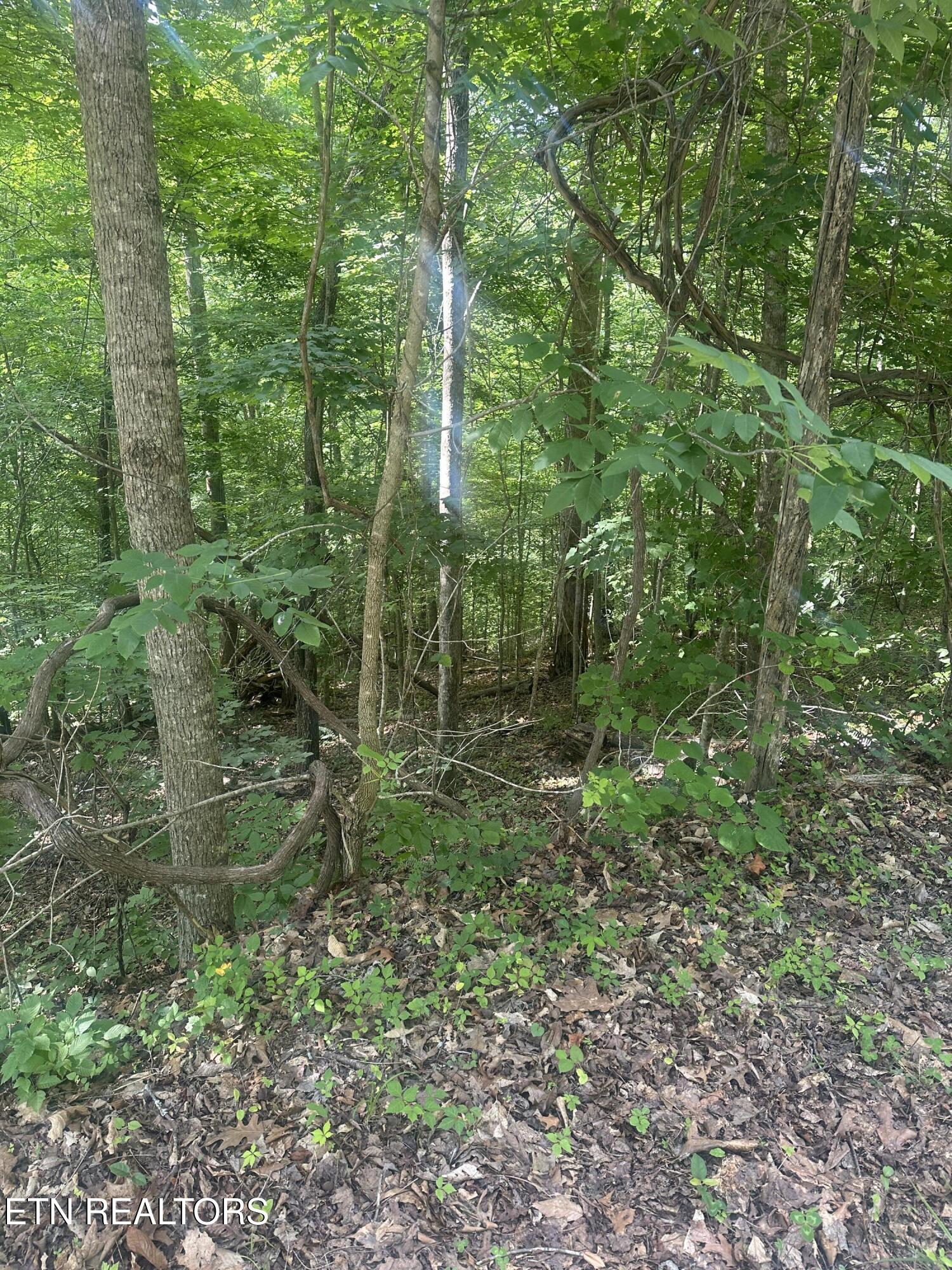 Hiwassee View - Lot 56 Drive