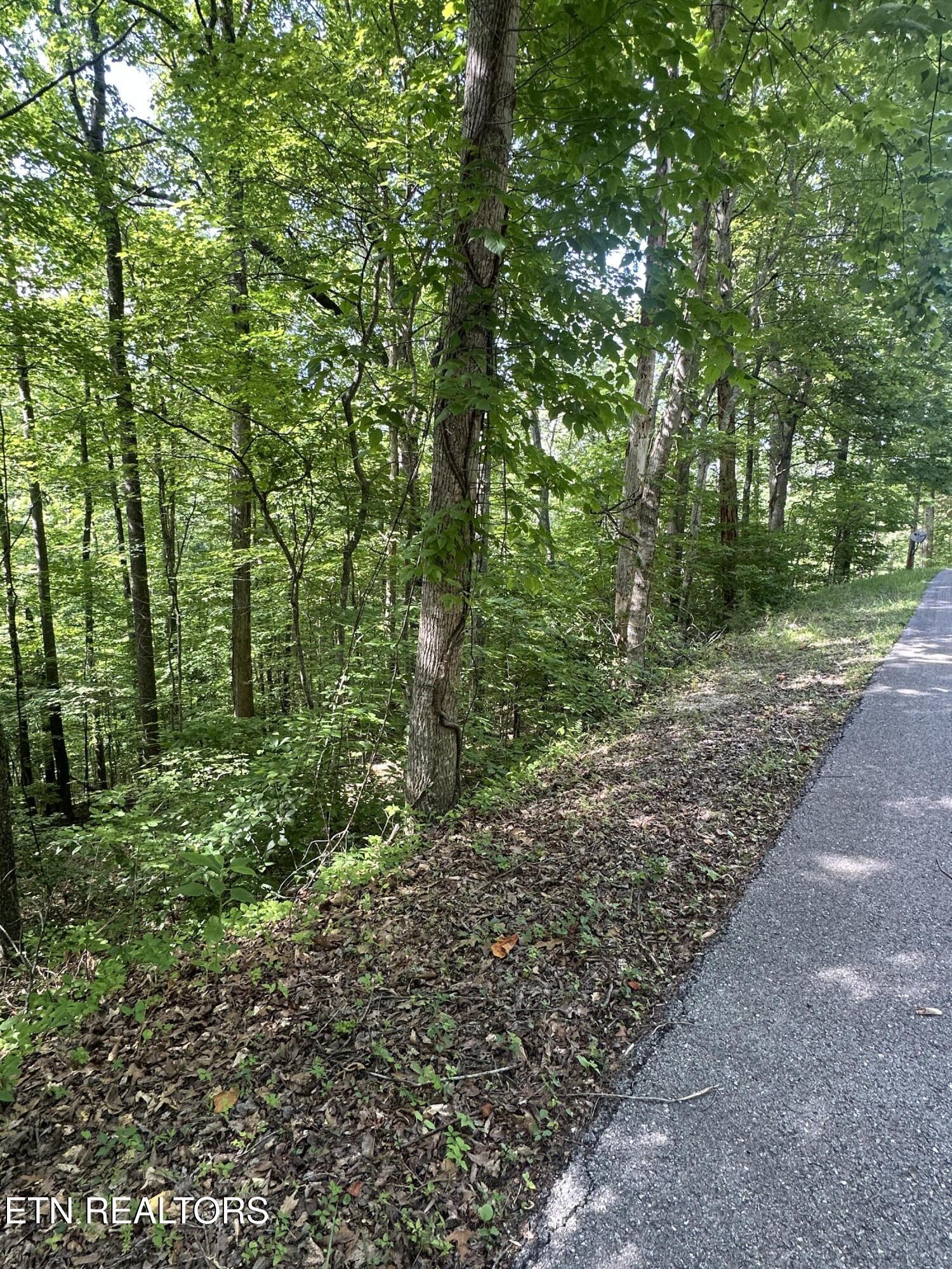 Hiwassee View - Lot 56 Drive