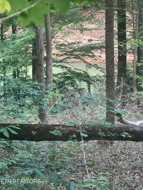 Photo of Hiwassee View - Lot 56 Drive, Jacksboro, TN 37757 (MLS # 1345289)