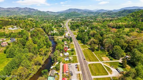 Tiny photo for 7637 E Lamar Alexander Pkwy, Townsend, TN 37882 (MLS # 1338514)