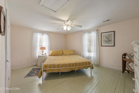 Tiny photo for 7637 E Lamar Alexander Pkwy, Townsend, TN 37882 (MLS # 1338514)