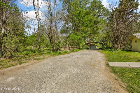 Tiny photo for 7637 E Lamar Alexander Pkwy, Townsend, TN 37882 (MLS # 1338514)