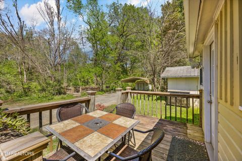 Tiny photo for 7637 E Lamar Alexander Pkwy, Townsend, TN 37882 (MLS # 1338514)