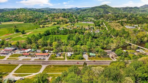 Tiny photo for 7637 E Lamar Alexander Pkwy, Townsend, TN 37882 (MLS # 1338514)