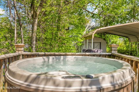 Tiny photo for 7637 E Lamar Alexander Pkwy, Townsend, TN 37882 (MLS # 1338514)