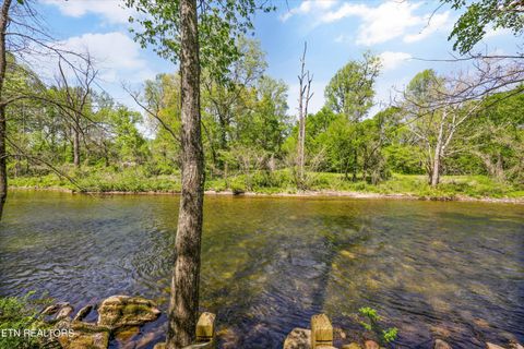 Tiny photo for 7637 E Lamar Alexander Pkwy, Townsend, TN 37882 (MLS # 1338514)