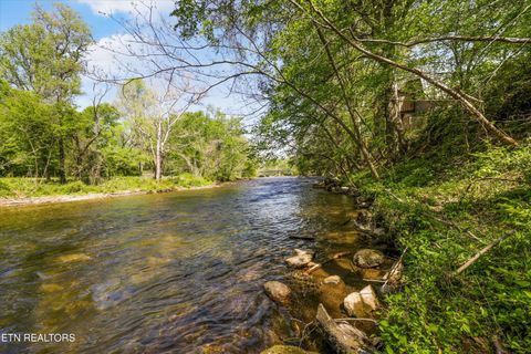 Tiny photo for 7637 E Lamar Alexander Pkwy, Townsend, TN 37882 (MLS # 1338514)