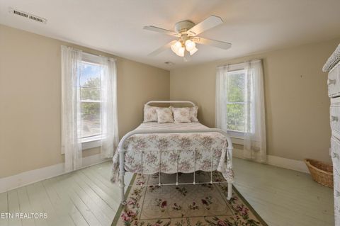 Tiny photo for 7637 E Lamar Alexander Pkwy, Townsend, TN 37882 (MLS # 1338514)