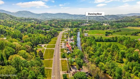 Tiny photo for 7637 E Lamar Alexander Pkwy, Townsend, TN 37882 (MLS # 1338514)