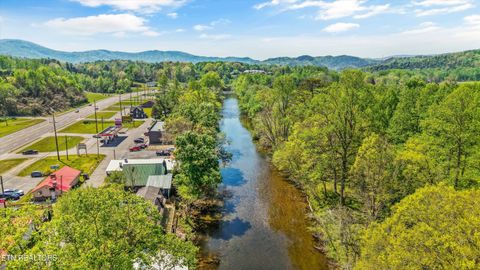 Tiny photo for 7637 E Lamar Alexander Pkwy, Townsend, TN 37882 (MLS # 1338514)