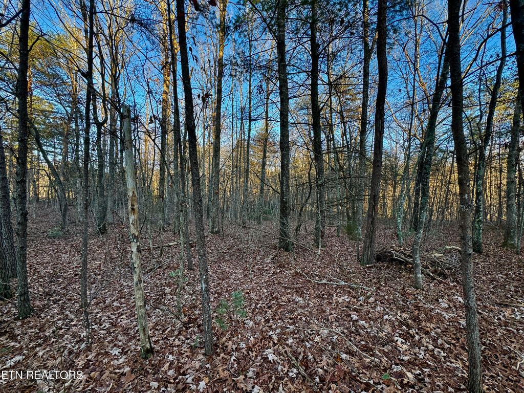 Photo of George Drive, Deer Lodge, TN 37726 (MLS # 1324757)