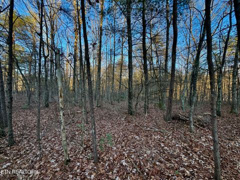 Tiny photo for George Drive, Deer Lodge, TN 37726 (MLS # 1324757)