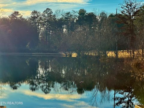 Tiny photo for George Drive, Deer Lodge, TN 37726 (MLS # 1324757)