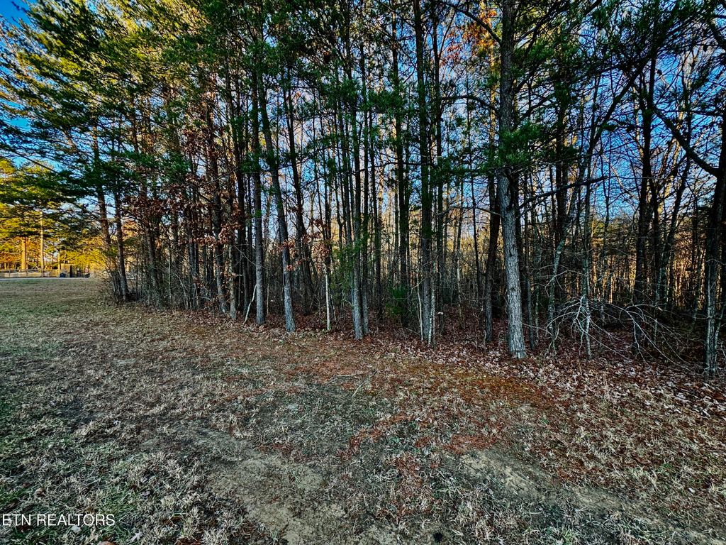 Photo of George Drive, Deer Lodge, TN 37726 (MLS # 1324757)