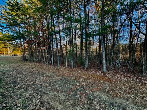 Photo of George Drive, Deer Lodge, TN 37726 (MLS # 1324757)