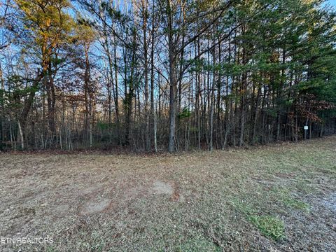 Tiny photo for George Drive, Deer Lodge, TN 37726 (MLS # 1324757)