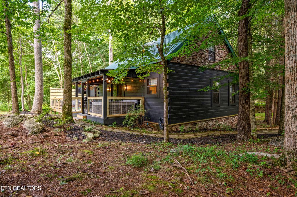 Photo of 278 Laurel Rd, Townsend, TN 37882 (MLS # 1338801)