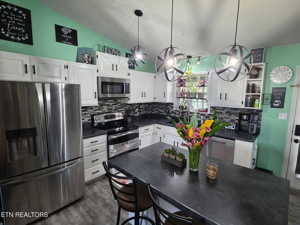Photo of 220 Michal Lane, New Tazewell, TN 37825 (MLS # 1344640)