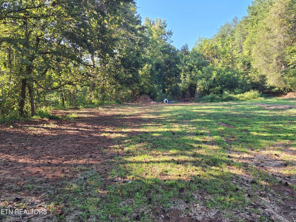 Photo of 375 Cagle Rd, Tellico Plains, TN 37385 (MLS # 1355189)
