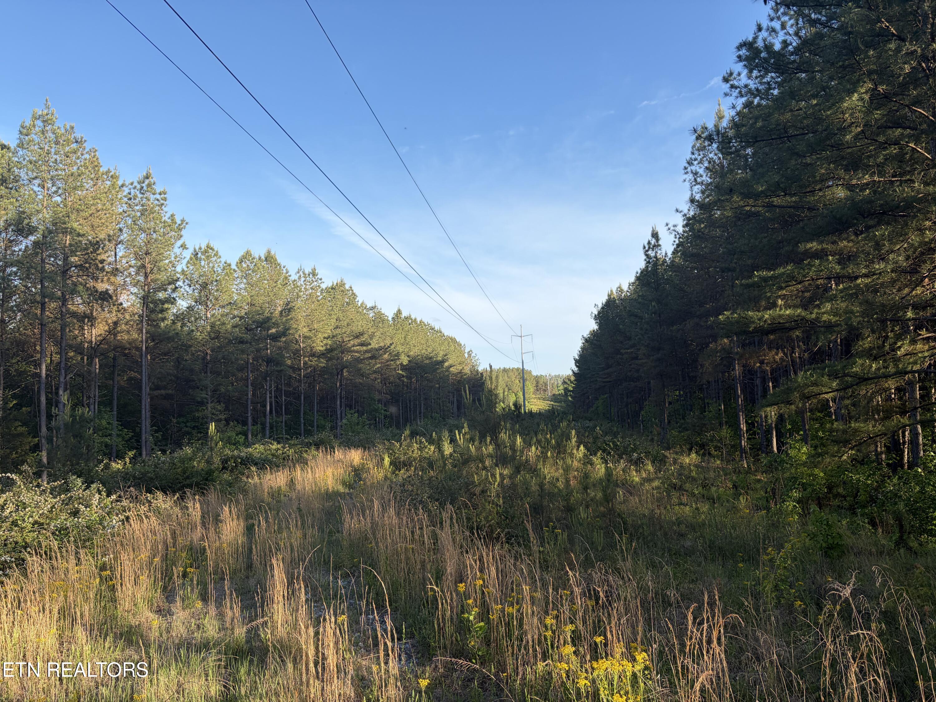 Lot 68 Black Bear Lane