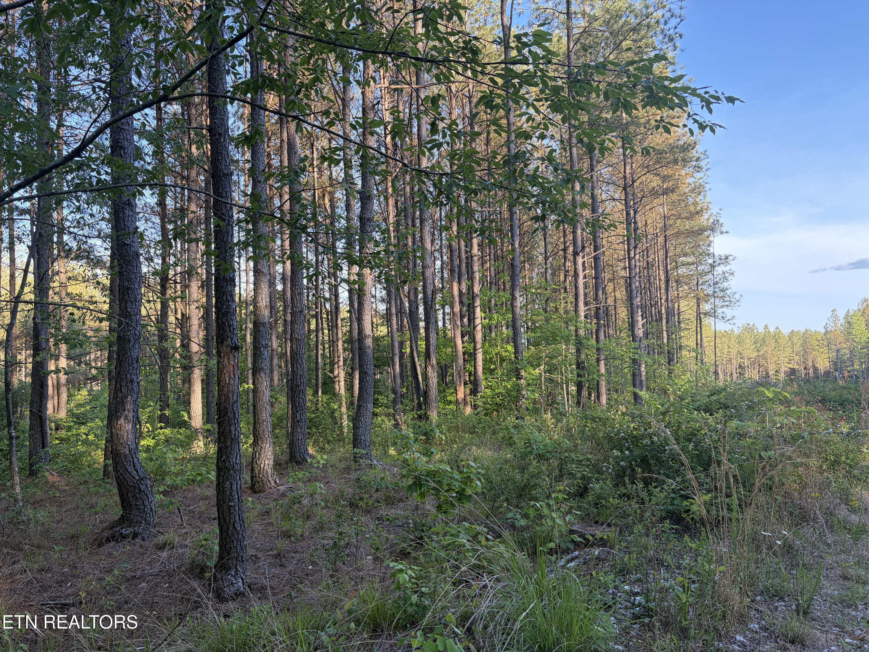 Lot 68 Black Bear Lane