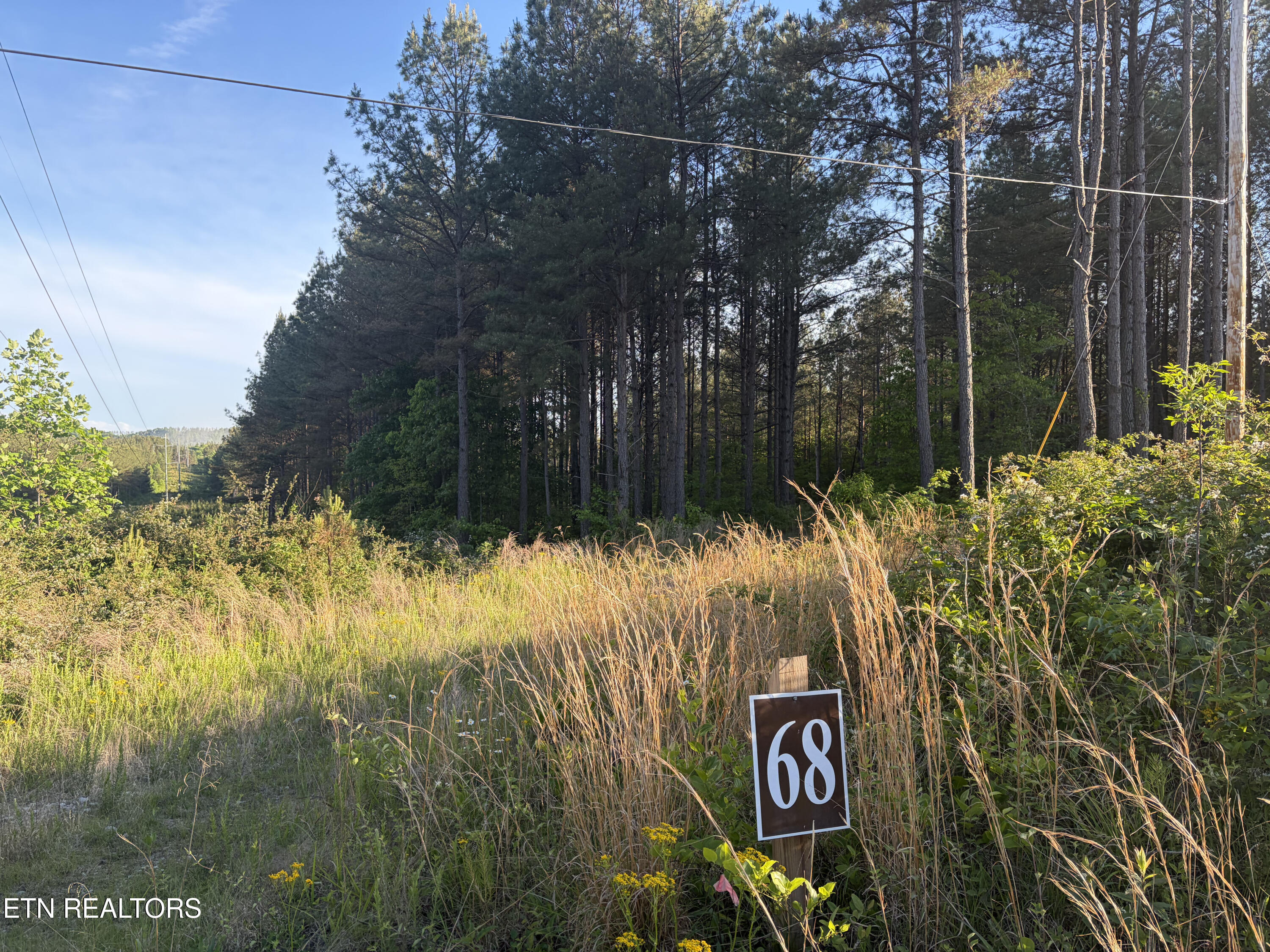 Lot 68 Black Bear Lane