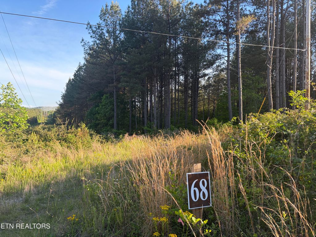 Photo of 68 Black Bear Lane, Sunbright, TN 37872 (MLS # 1340665)