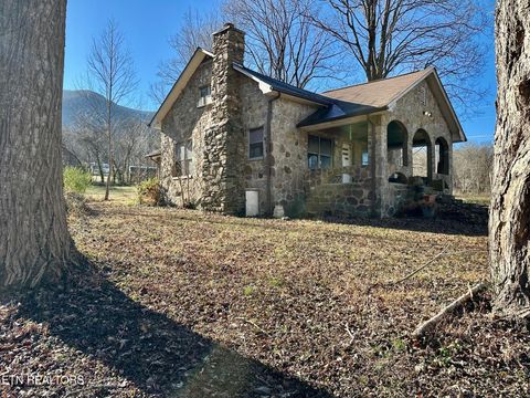 Photo of 3528 Sugar Camp Circle, Sevierville, TN 37862 (MLS # 1324311)
