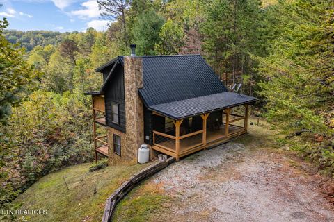 Photo of 4208 Mountain Rest Way, Sevierville, TN 37876 (MLS # 1325839)