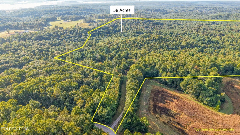 Photo of 569 Coon Creek Rd, Sunbright, TN 37872 (MLS # 1357955)