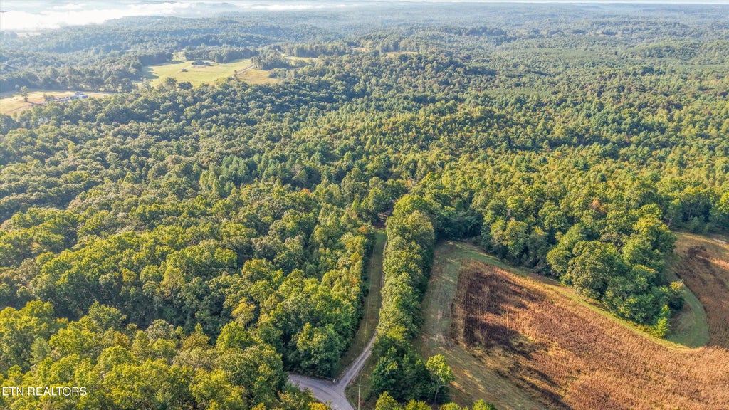 Photo of 569 Coon Creek Rd, Sunbright, TN 37872 (MLS # 1357955)