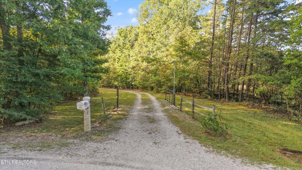 Photo of 569 Coon Creek Rd, Sunbright, TN 37872 (MLS # 1357955)