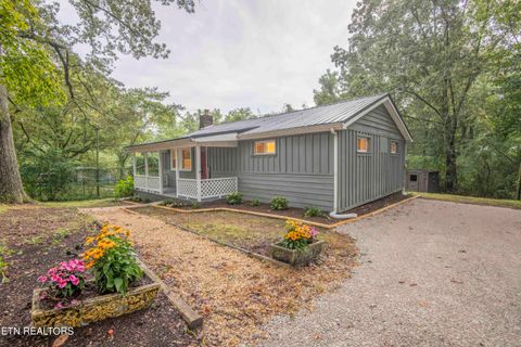 Tiny photo for 143 Shubert Street St, Kingston, TN 37763 (MLS # 1324284)
