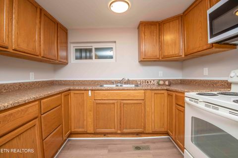 Tiny photo for 143 Shubert Street St, Kingston, TN 37763 (MLS # 1324284)