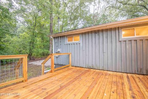 Tiny photo for 143 Shubert Street St, Kingston, TN 37763 (MLS # 1324284)