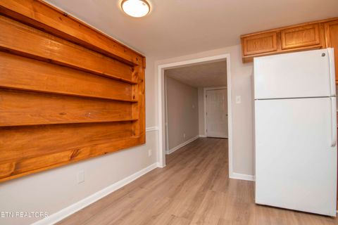 Tiny photo for 143 Shubert Street St, Kingston, TN 37763 (MLS # 1324284)