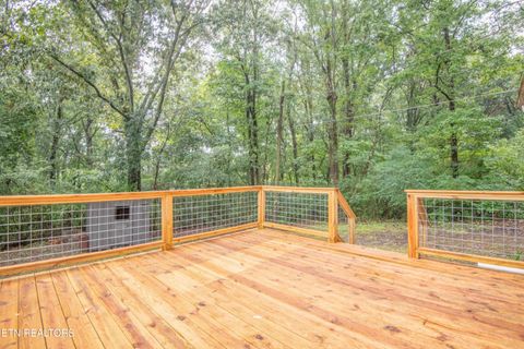 Tiny photo for 143 Shubert Street St, Kingston, TN 37763 (MLS # 1324284)