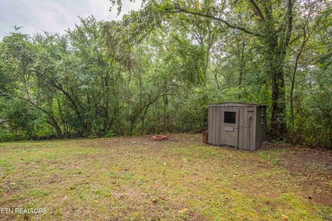 Tiny photo for 143 Shubert Street St, Kingston, TN 37763 (MLS # 1324284)