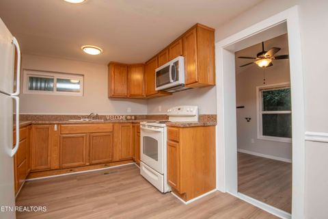 Tiny photo for 143 Shubert Street St, Kingston, TN 37763 (MLS # 1324284)