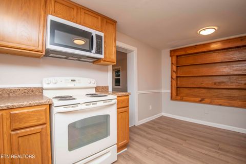 Tiny photo for 143 Shubert Street St, Kingston, TN 37763 (MLS # 1324284)