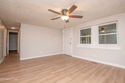 Tiny photo for 143 Shubert Street St, Kingston, TN 37763 (MLS # 1324284)