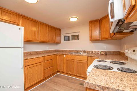 Tiny photo for 143 Shubert Street St, Kingston, TN 37763 (MLS # 1324284)